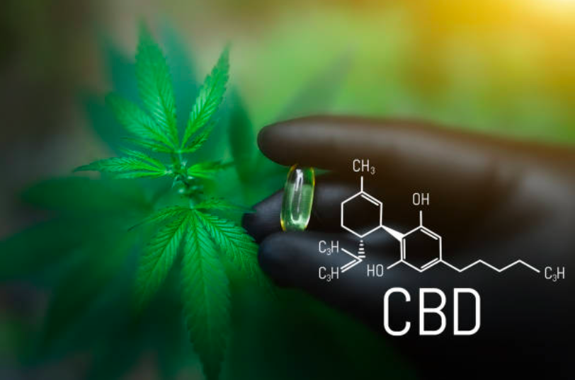Kapsułki cbd jak działają